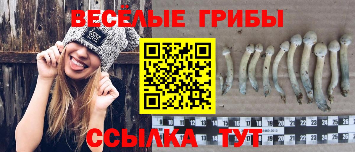 Псилоцибиновые грибы мухоморы Анапа