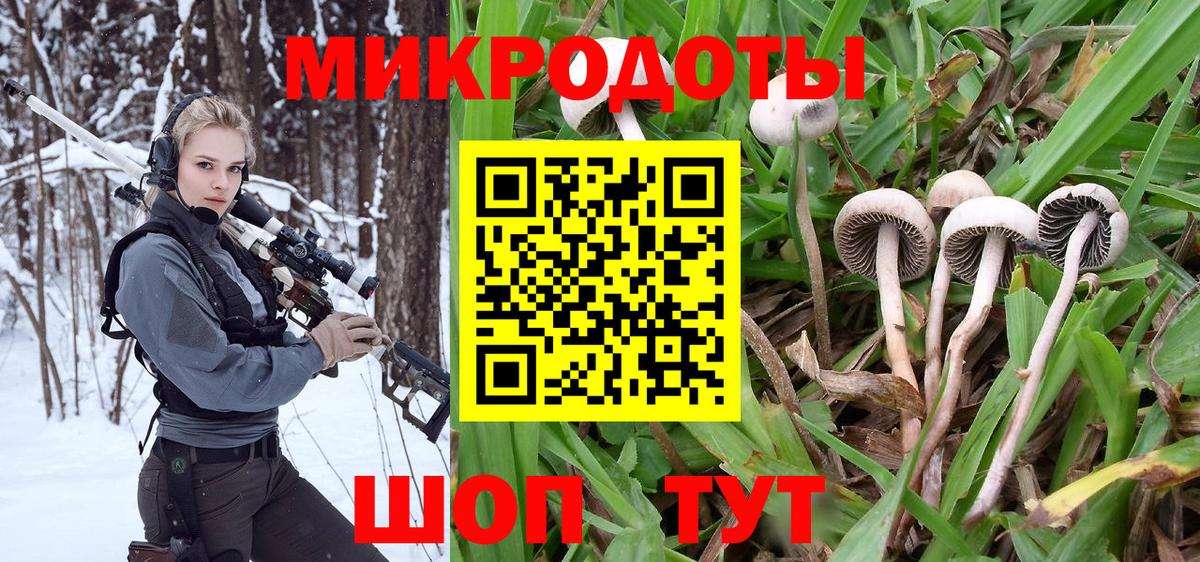 Галлюциногенные грибы Magic Shrooms  Вход с VPN  Анапа 